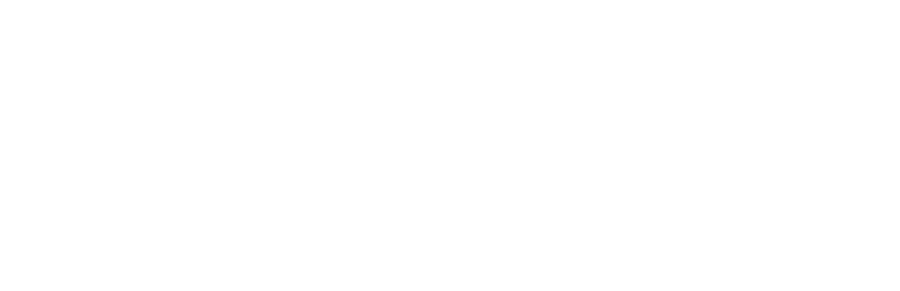 Visa-logo-white